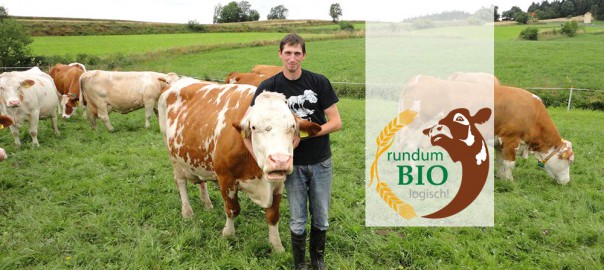 Markus bei seinen Kühen auf der Weide